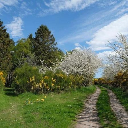 Lower Bruntlands Fochabers Εξωτερικό φωτογραφία