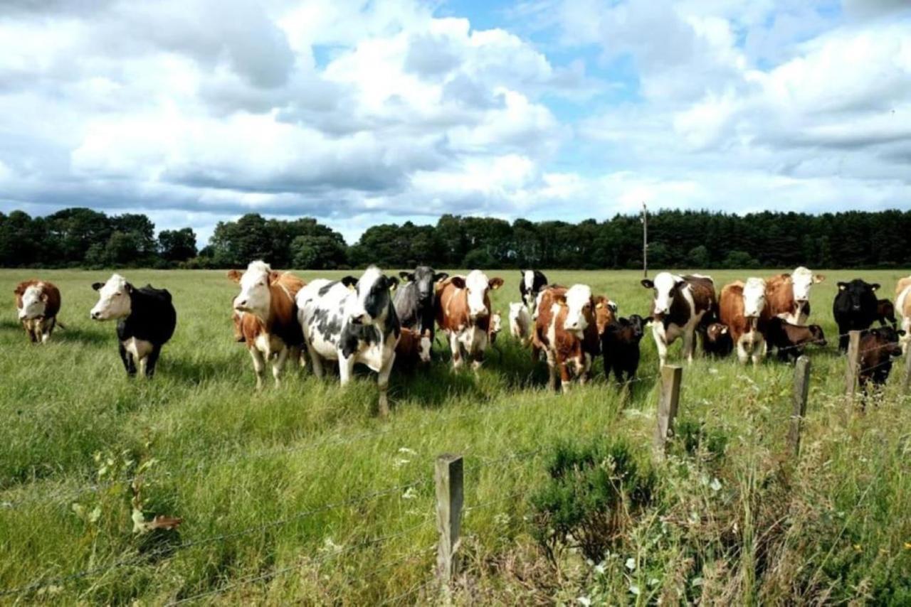 Lower Bruntlands Fochabers Εξωτερικό φωτογραφία